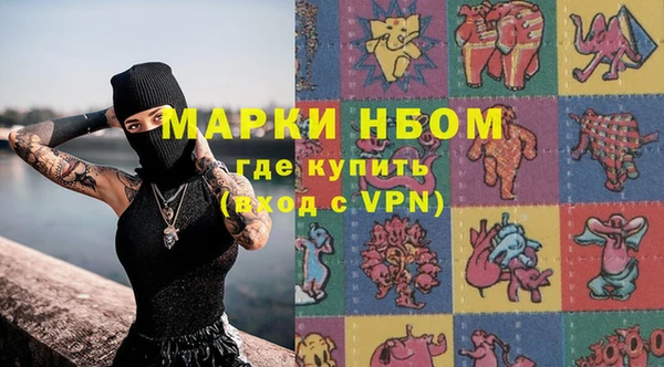 ГАЛЛЮЦИНОГЕННЫЕ ГРИБЫ Аркадак