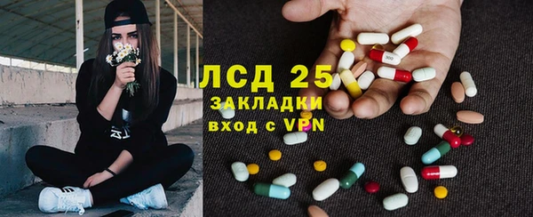 ГАЛЛЮЦИНОГЕННЫЕ ГРИБЫ Аркадак