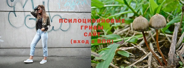 ГАЛЛЮЦИНОГЕННЫЕ ГРИБЫ Аркадак