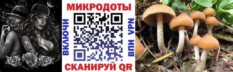 Купить закладки  Катав-Ивановск  Галлюциногенные грибы Magic Shrooms 
